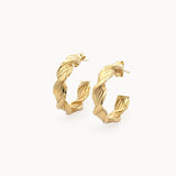 Twisted Braided Hoops
